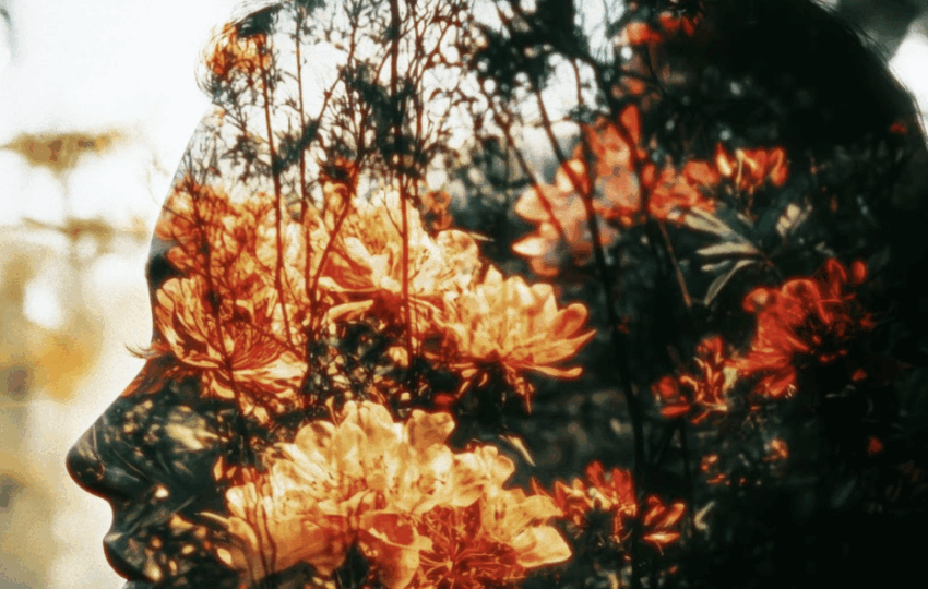 身心靈導師培訓