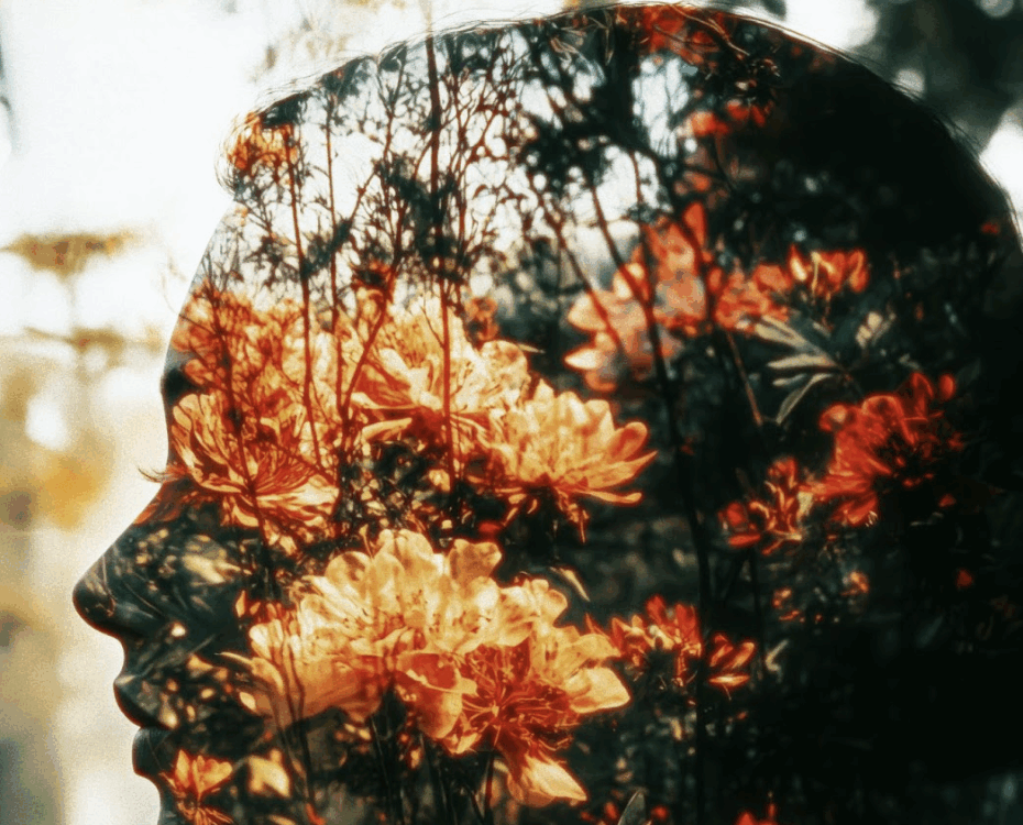 身心靈導師培訓